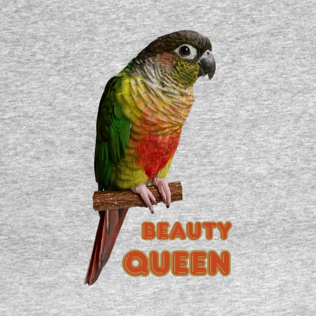 Green cheek Conure Parrot Bird Parakeet for women and men by TatianaLG